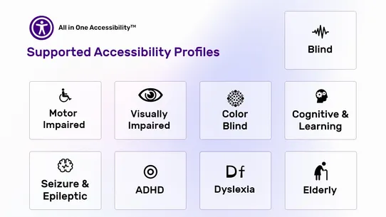 All in One Accessibility screenshot