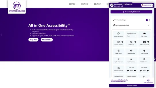 All in One Accessibility screenshot