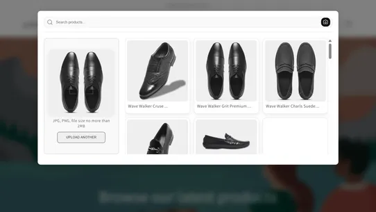 Gideonis AI Visual Search screenshot