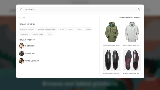 Gideonis AI Visual Search screenshot