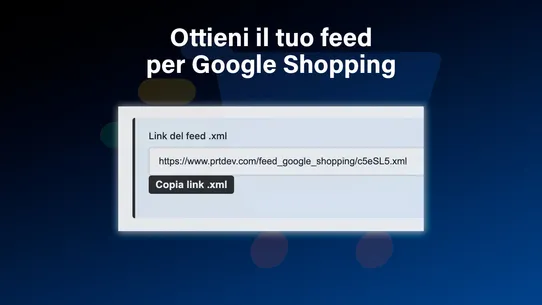 Feed Google Shopping screenshot