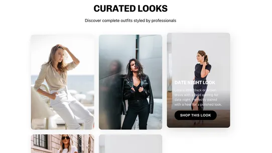 Style Suite screenshot