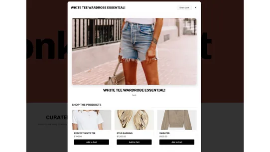 Style Suite screenshot