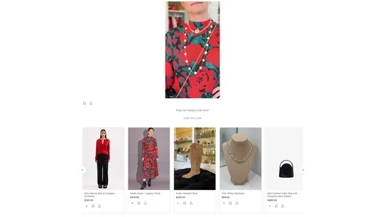 Style Suite screenshot