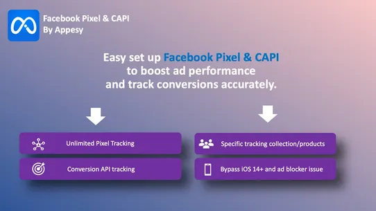 Facebook Pixel &amp; CAPI: Appesy screenshot