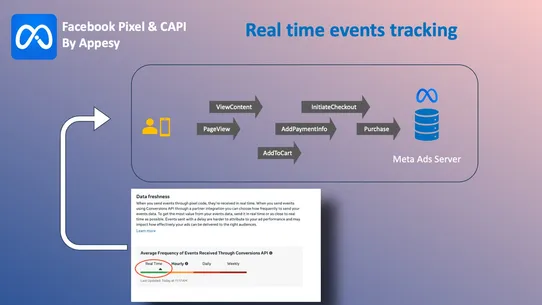 Facebook Pixel &amp; CAPI: Appesy screenshot
