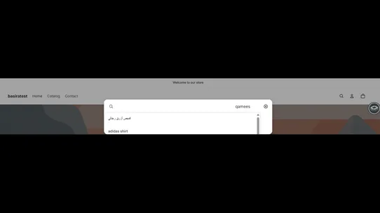 Basira Search screenshot