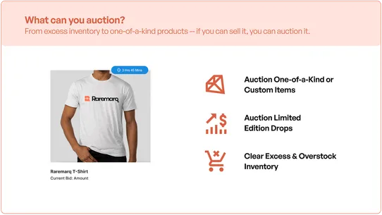 Auction Now screenshot