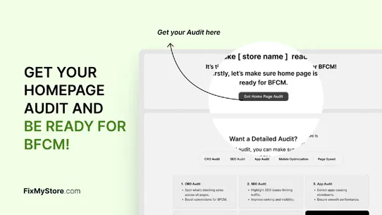 FixMyStore ‑ BFCM Store Audit screenshot