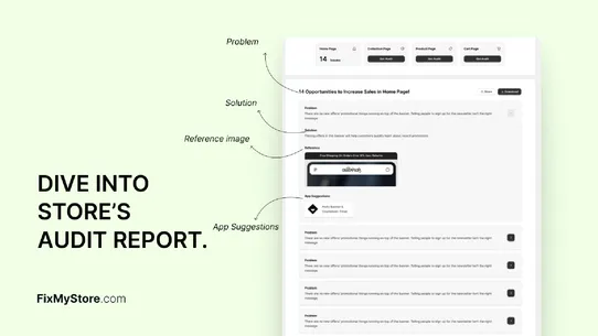 FixMyStore ‑ BFCM Store Audit screenshot