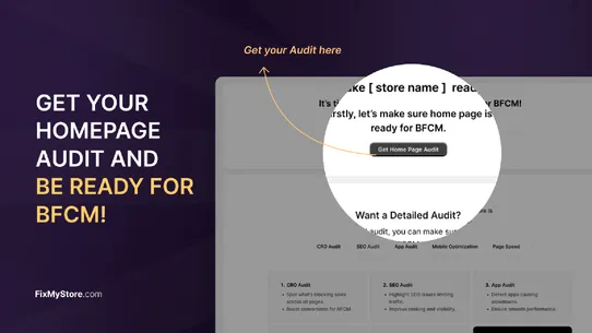 FixMyStore ‑ BFCM Store Audit screenshot
