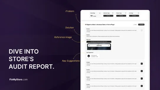 FixMyStore ‑ BFCM Store Audit screenshot