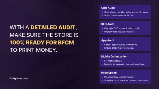FixMyStore ‑ BFCM Store Audit screenshot