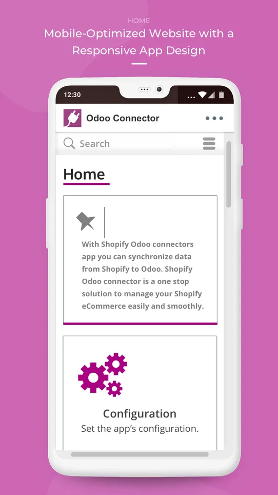 Odoo Connector screenshot