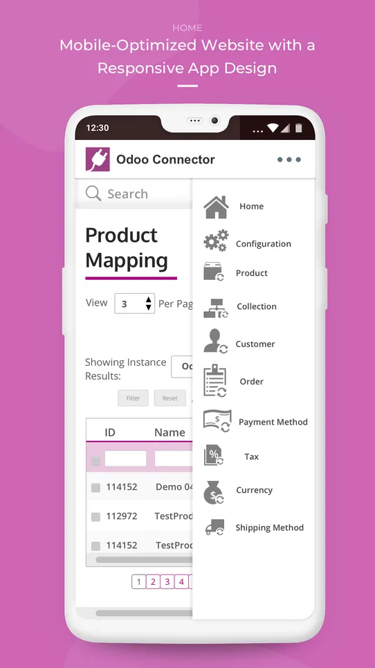 Odoo Connector screenshot