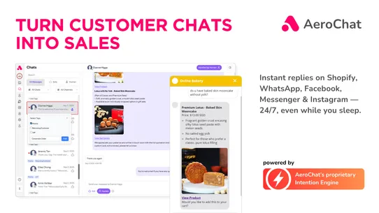 AeroChat AI Chatbot, Live Chat screenshot