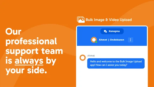 Bulk Image &amp; Video Upload screenshot
