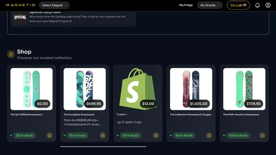 MAGNETIQ Integration screenshot