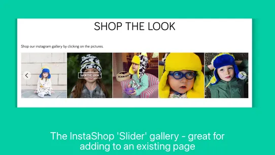 InstaShop: Shoppable Instagram screenshot