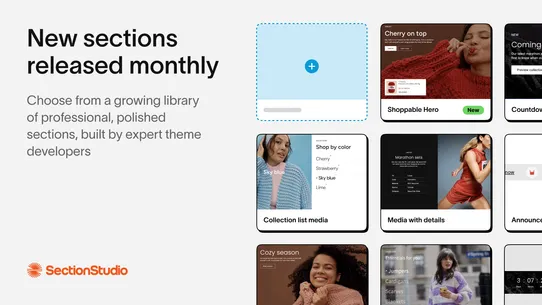 Section Studio: Theme Sections screenshot