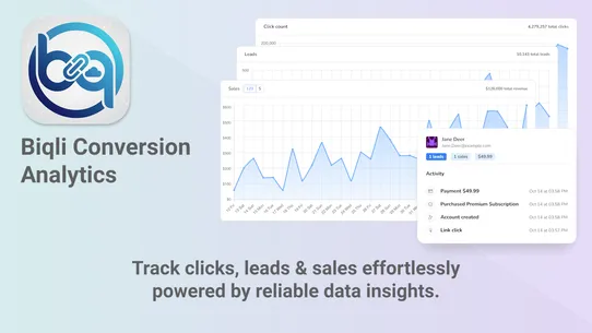 Biqli: Conversion Analytics screenshot