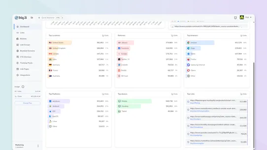 Biqli: Conversion Analytics screenshot