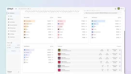 Biqli: Conversion Analytics screenshot