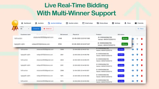 Flash Auction screenshot