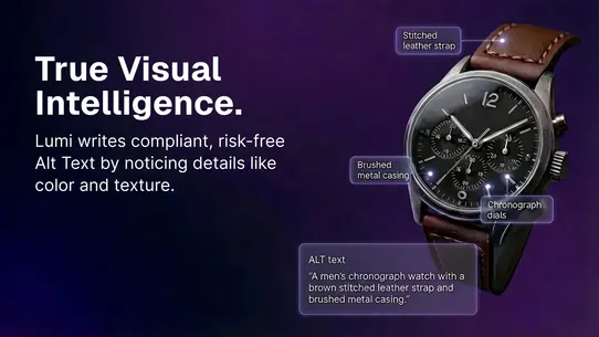 Lumi: AI Alt Text &amp; Image SEO screenshot