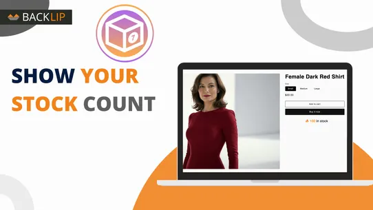 BL Stock Counter screenshot