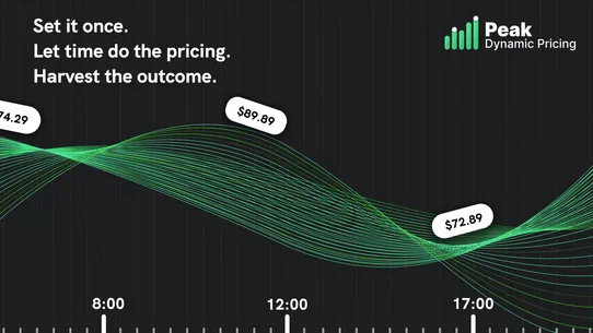 Peak ‑ Dynamic Pricing screenshot