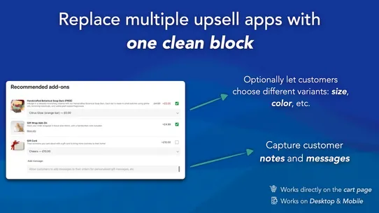 AS: Cart Page Checkbox Upsell screenshot