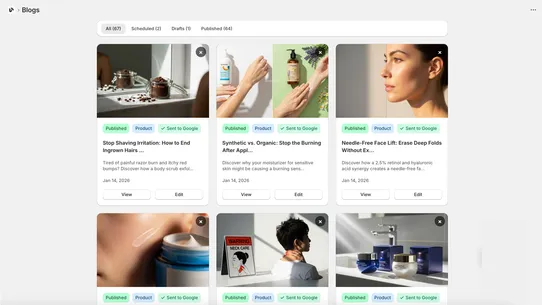 BlogGenAuto:SEO Google&amp;ChatGPT screenshot