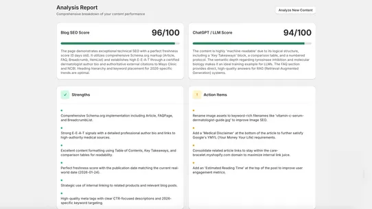 BlogGenAuto:SEO Google&amp;ChatGPT screenshot