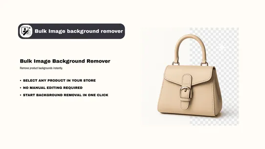 Bulk Image Background Removal screenshot