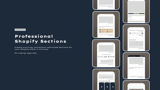 Section Store ‑ BrandUp screenshot