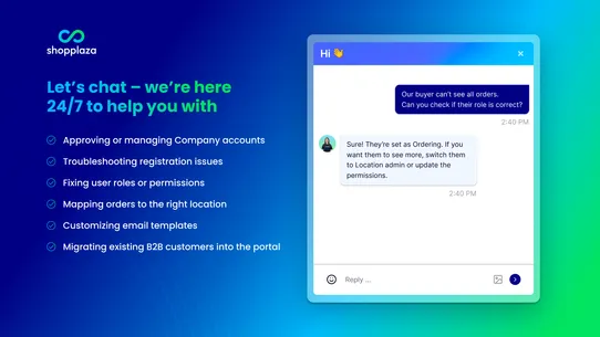 SP B2B Company Accounts screenshot