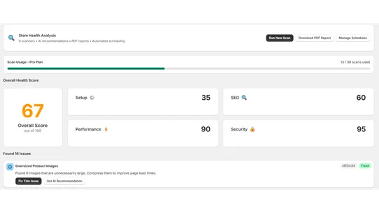 StoreScan ‑ Audit &amp; Optimize screenshot