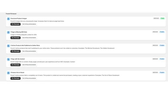 StoreScan ‑ Audit &amp; Optimize screenshot