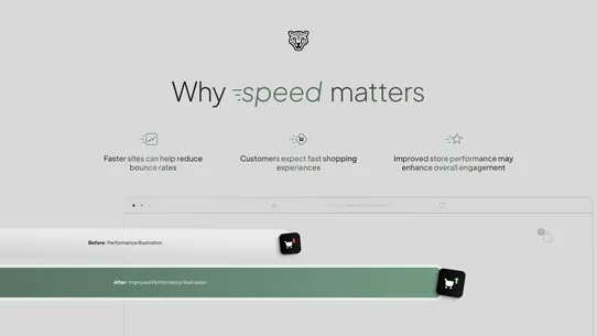 ChopChopify Speed Optimization screenshot