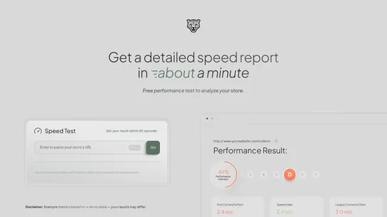ChopChopify Speed Optimization screenshot