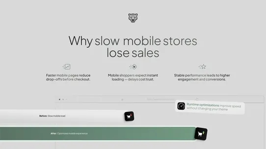 ChopChopify Speed Optimizer screenshot