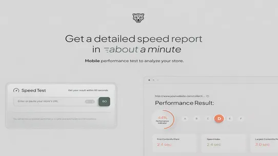 ChopChopify Speed Optimizer screenshot