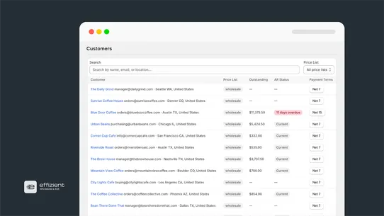 effizient: Wholesale &amp; B2B screenshot