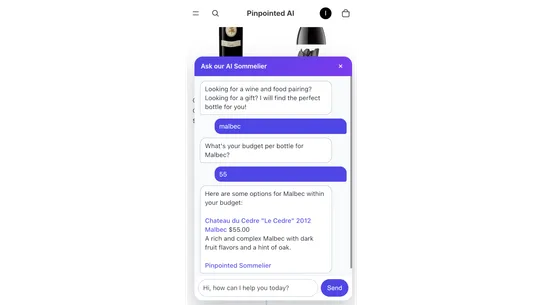 Pinpointed AI Sommelier screenshot