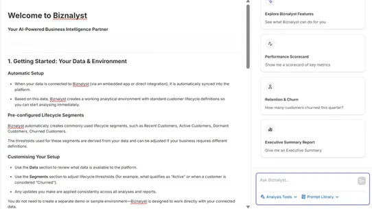 Biznalyst screenshot