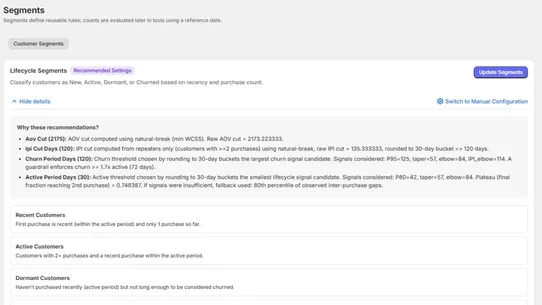 Biznalyst screenshot