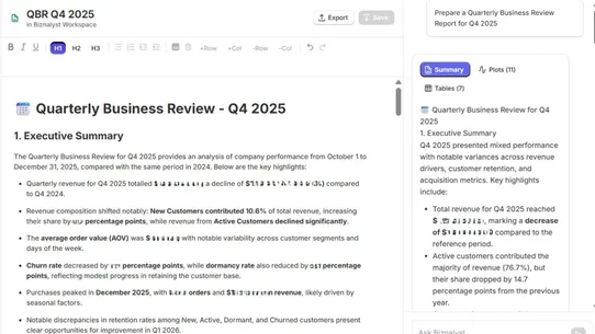 Biznalyst screenshot