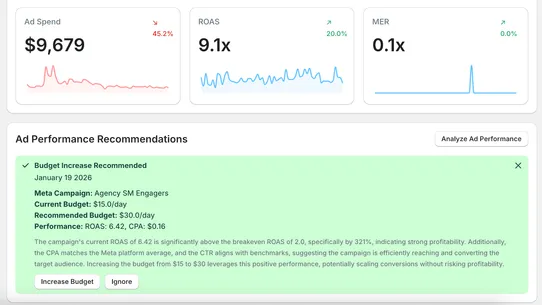 Agency AI: Meta Ads Automation screenshot