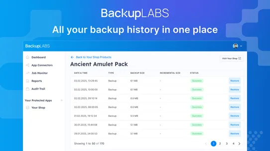 BackupLABS: Backups &amp; Restore screenshot